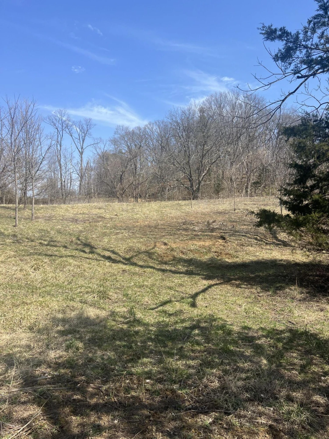 0 Gravel Hill RD - Photo 5