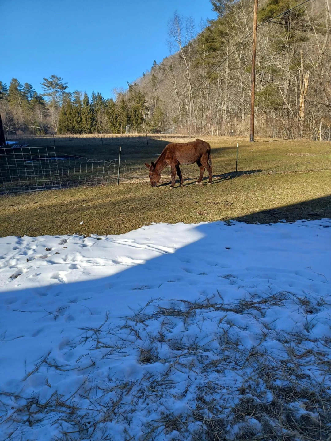 6720 Ogle Creek RD - Photo 9