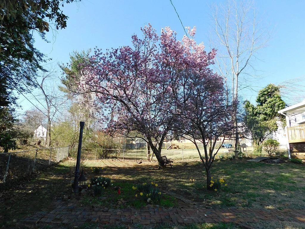 1831 Fareham RD - Photo 30