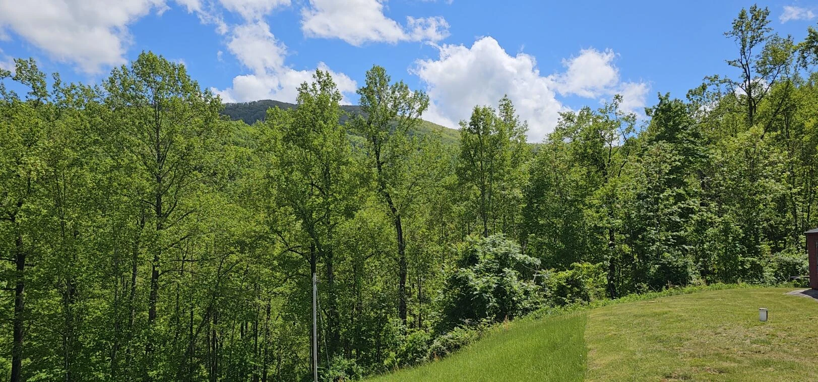 216 Hicks Hollow RD - Photo 43