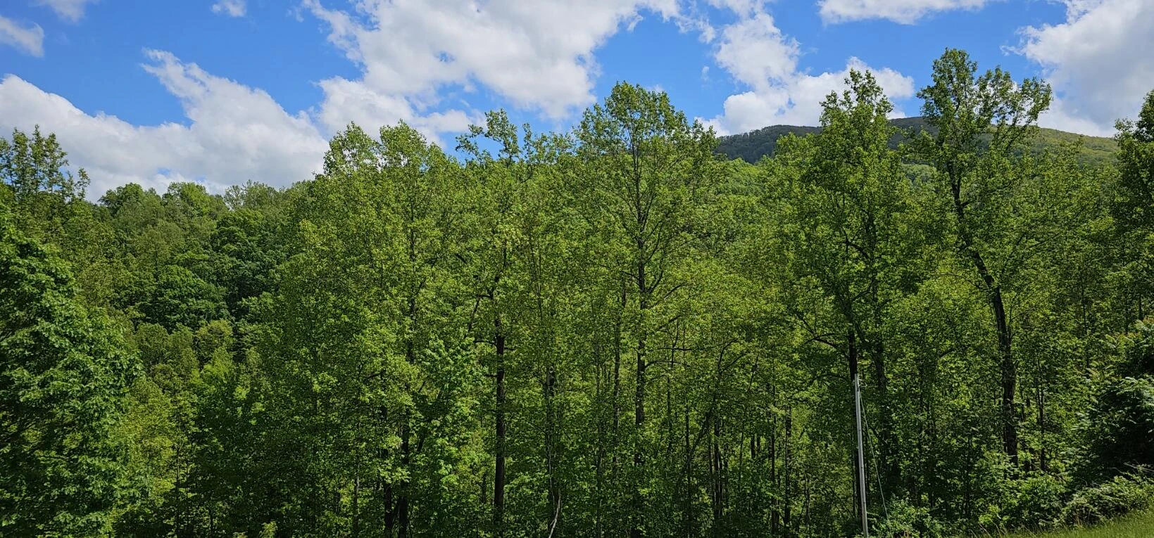 216 Hicks Hollow RD - Photo 44