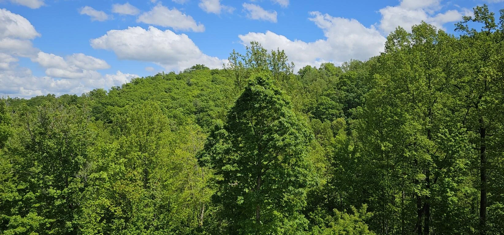 216 Hicks Hollow RD - Photo 45