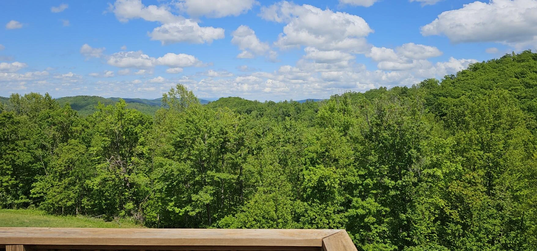 216 Hicks Hollow RD - Photo 46