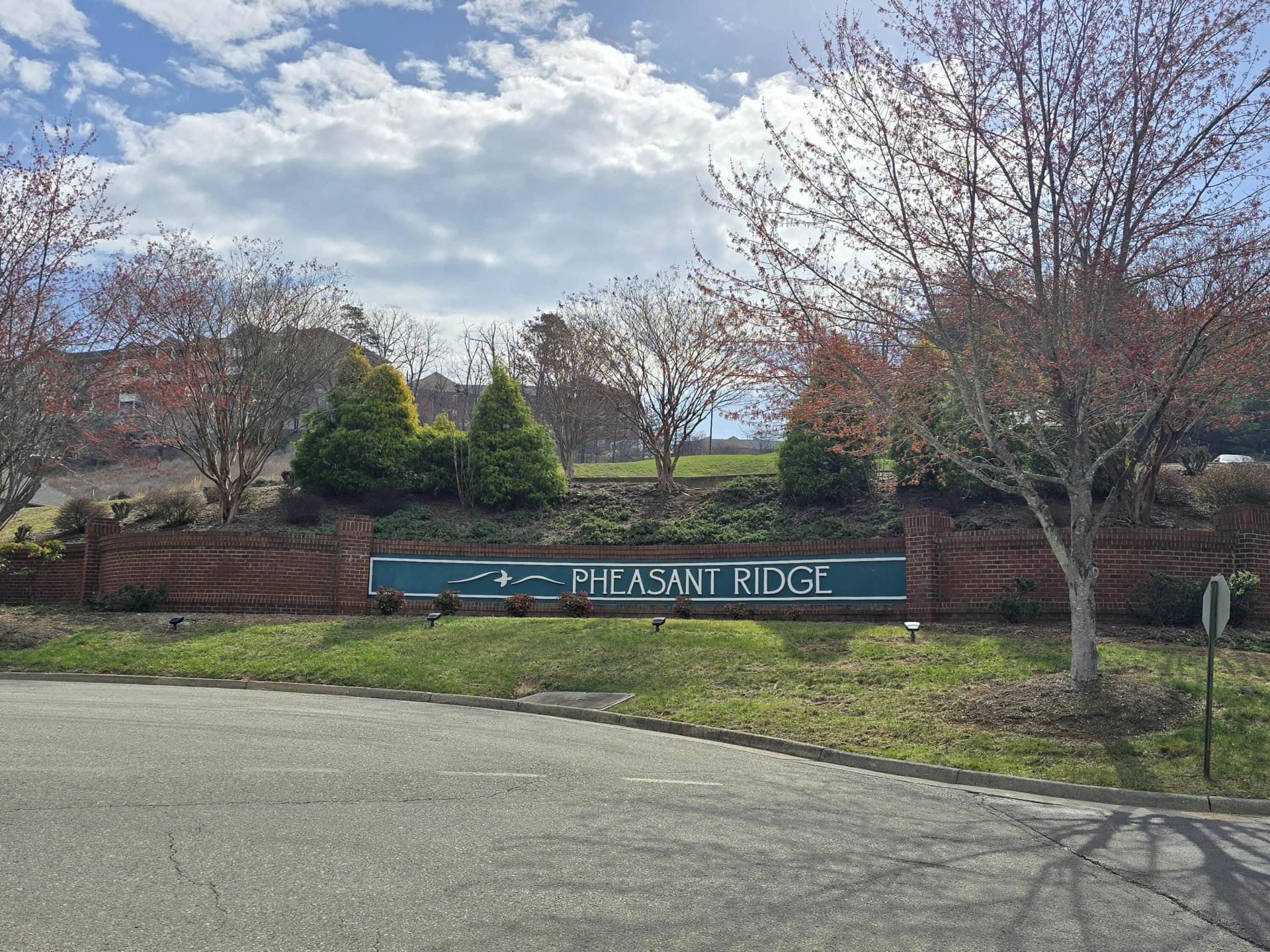4444 Pheasant Ridge RD #201 - Photo 51