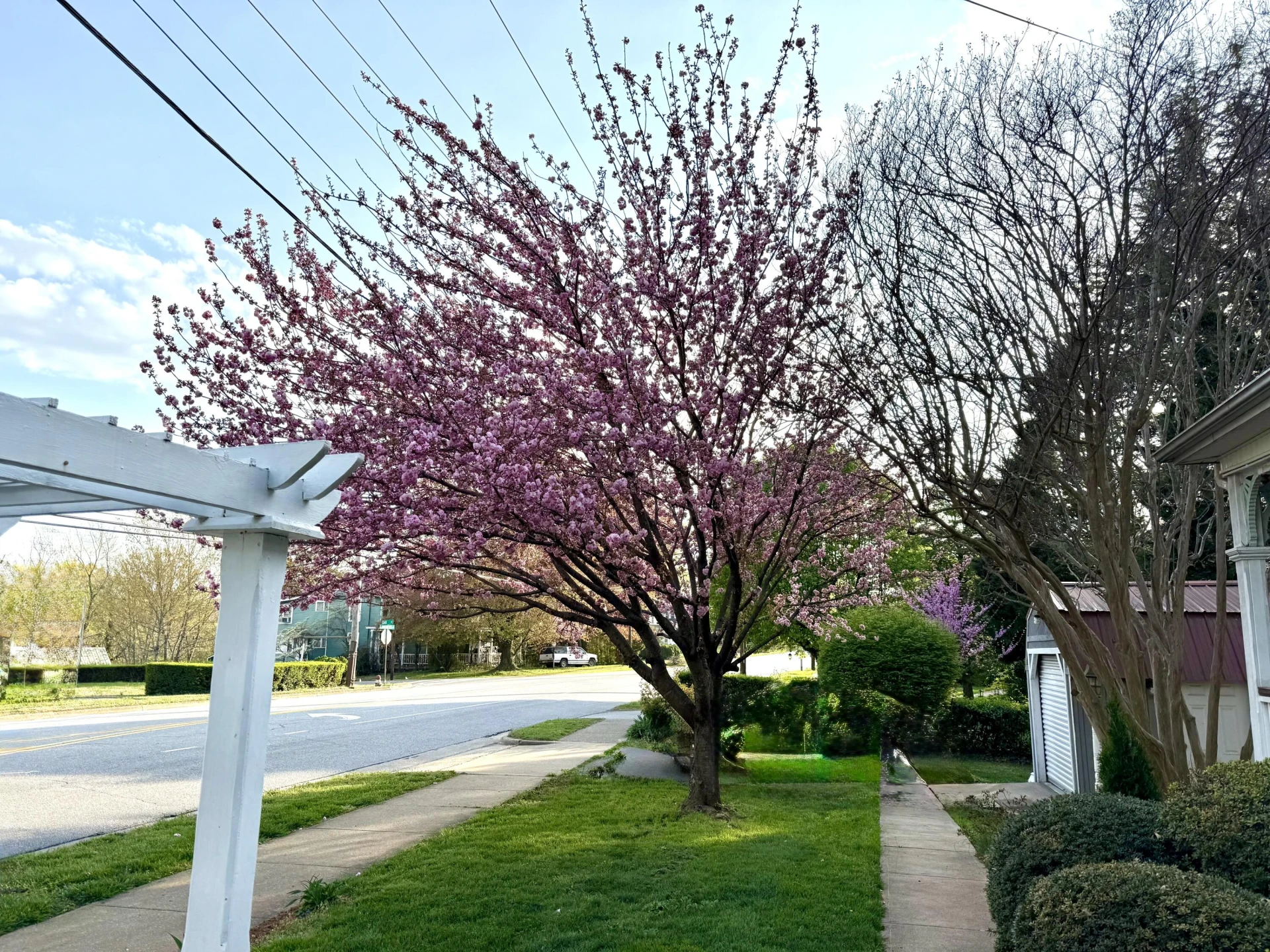 805 Longwood AVE - Photo 4