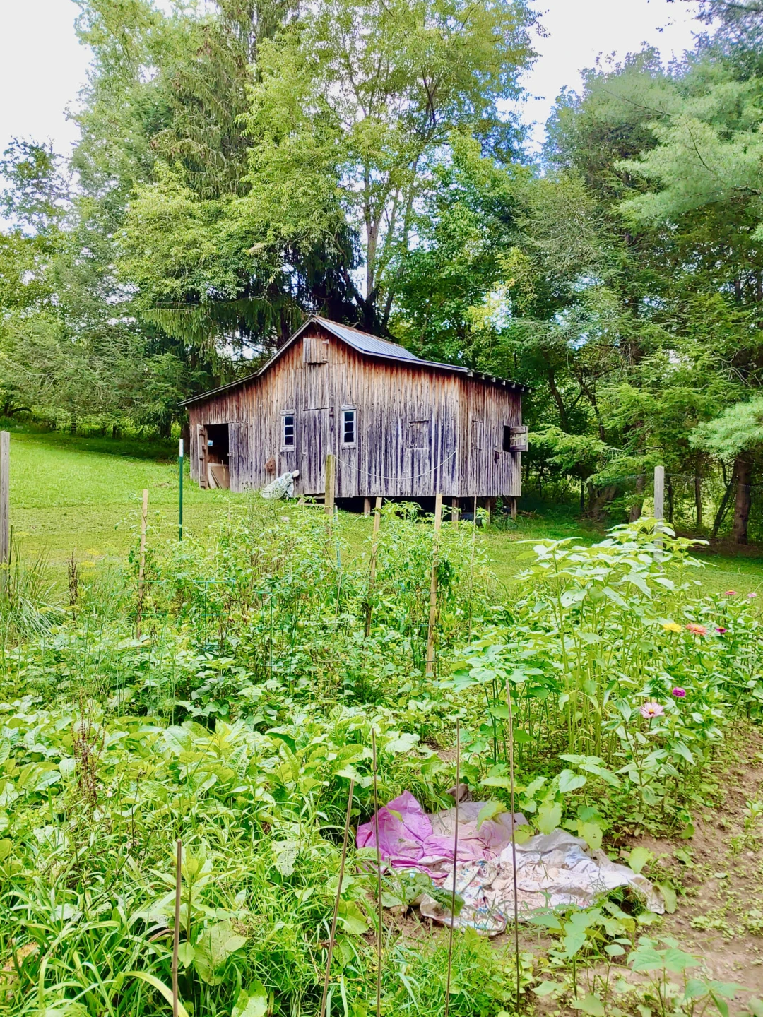289 Huckleberry Ridge RD - Photo 29