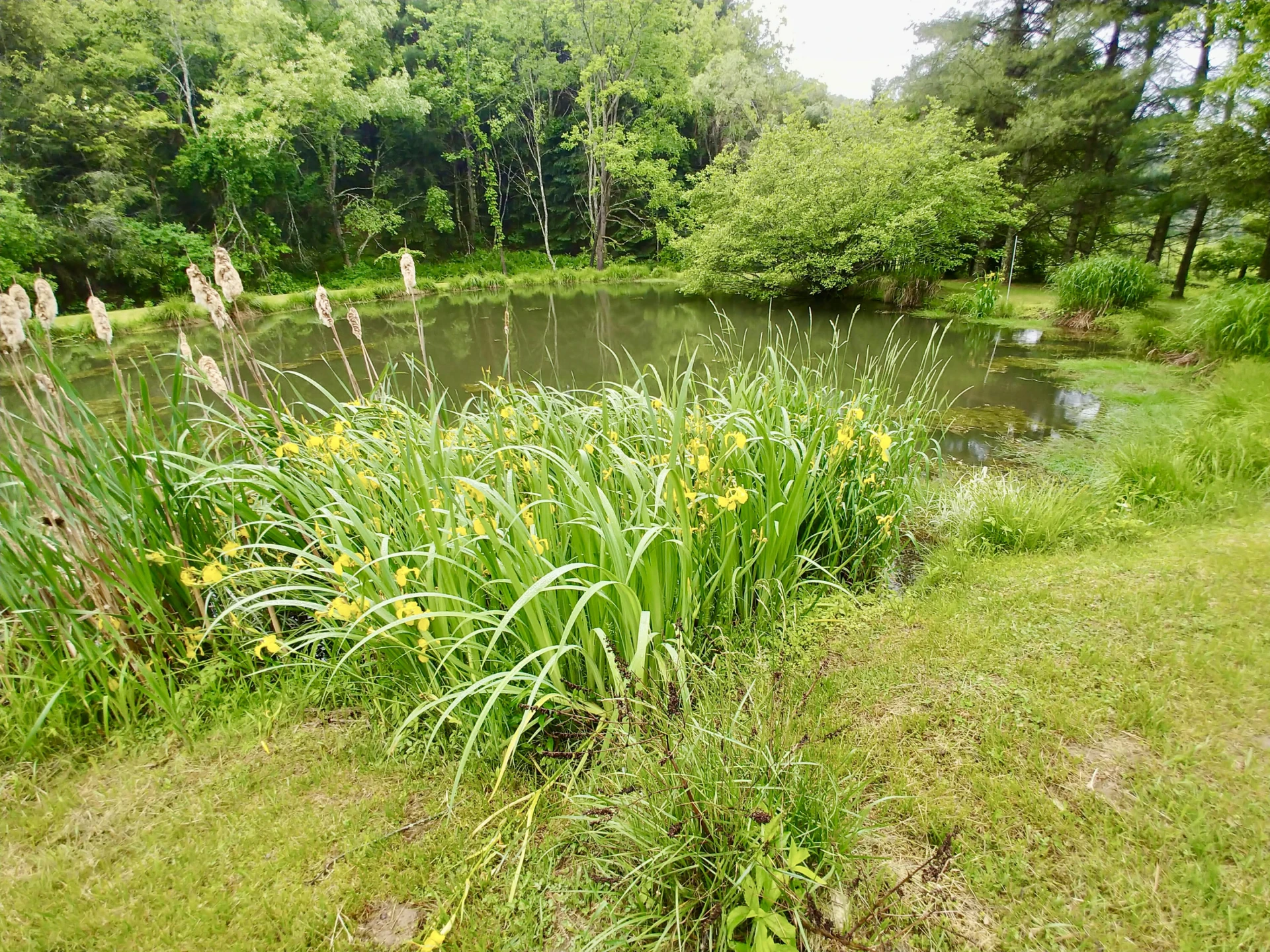 289 Huckleberry Ridge RD - Photo 31