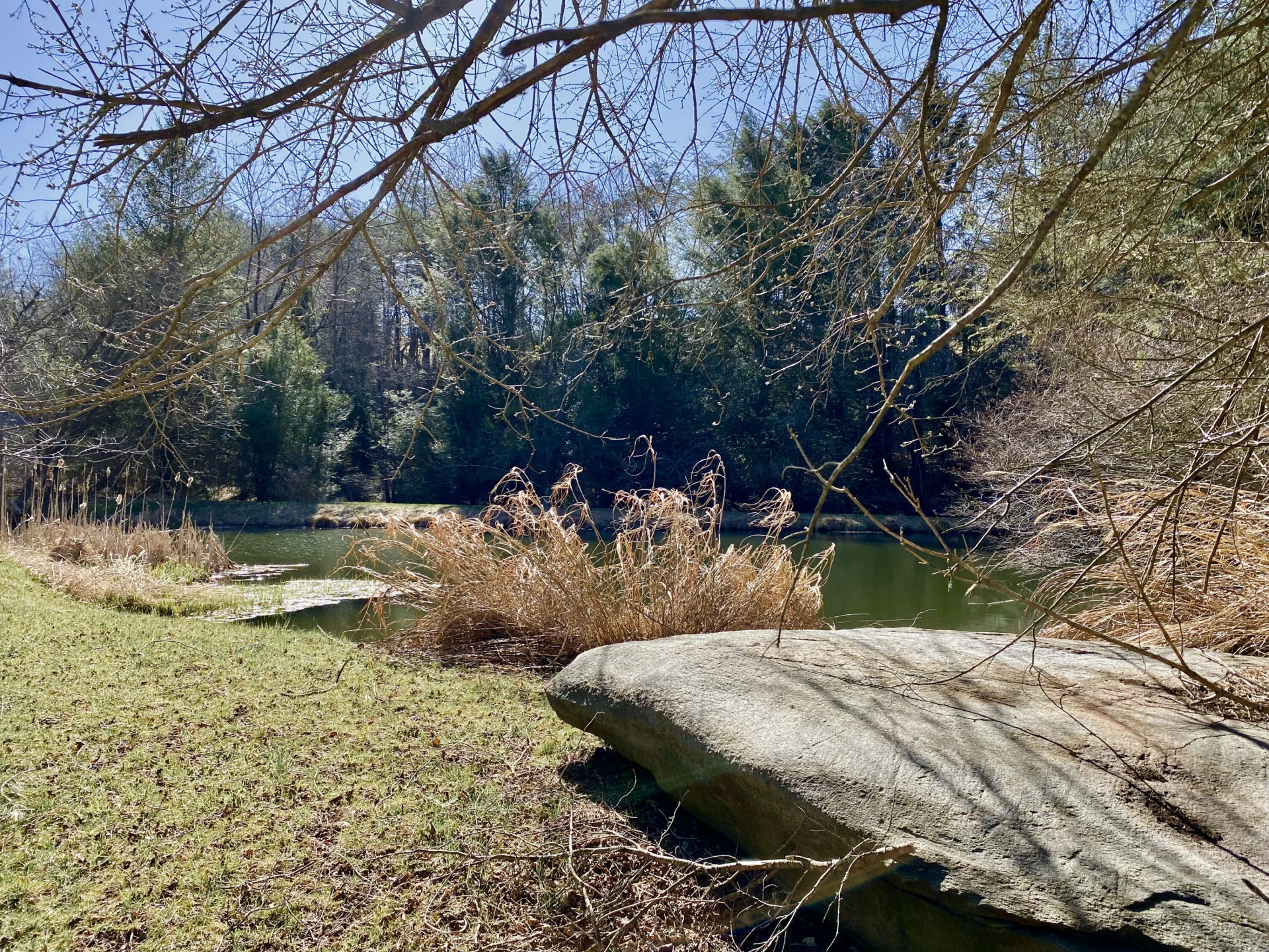 289 Huckleberry Ridge RD - Photo 35