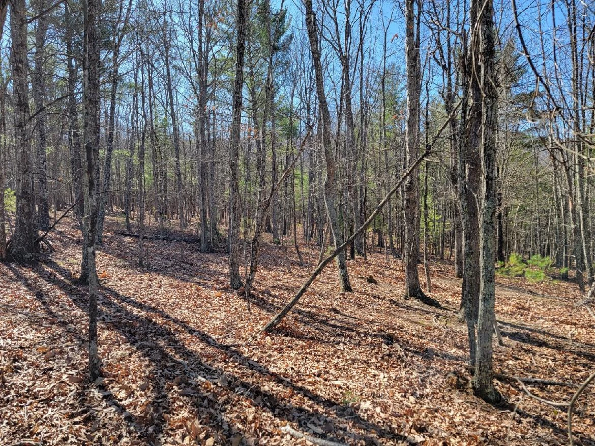 0 Mountain Acres CIR