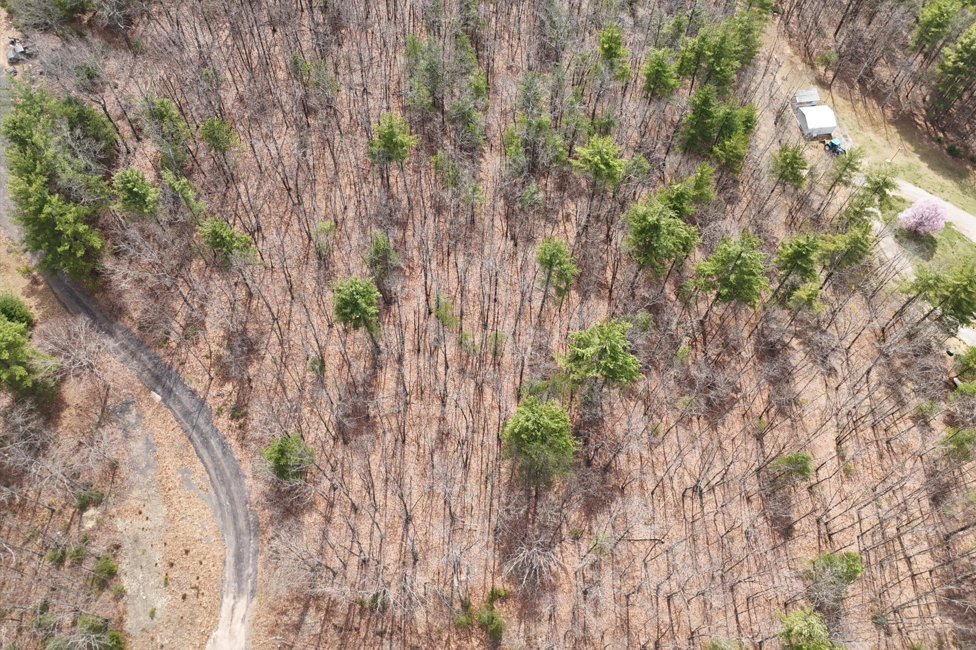 0 Mountain Acres CIR - Photo 11
