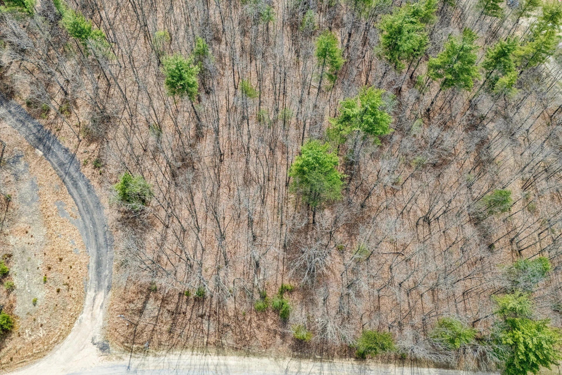 0 Mountain Acres CIR - Photo 4