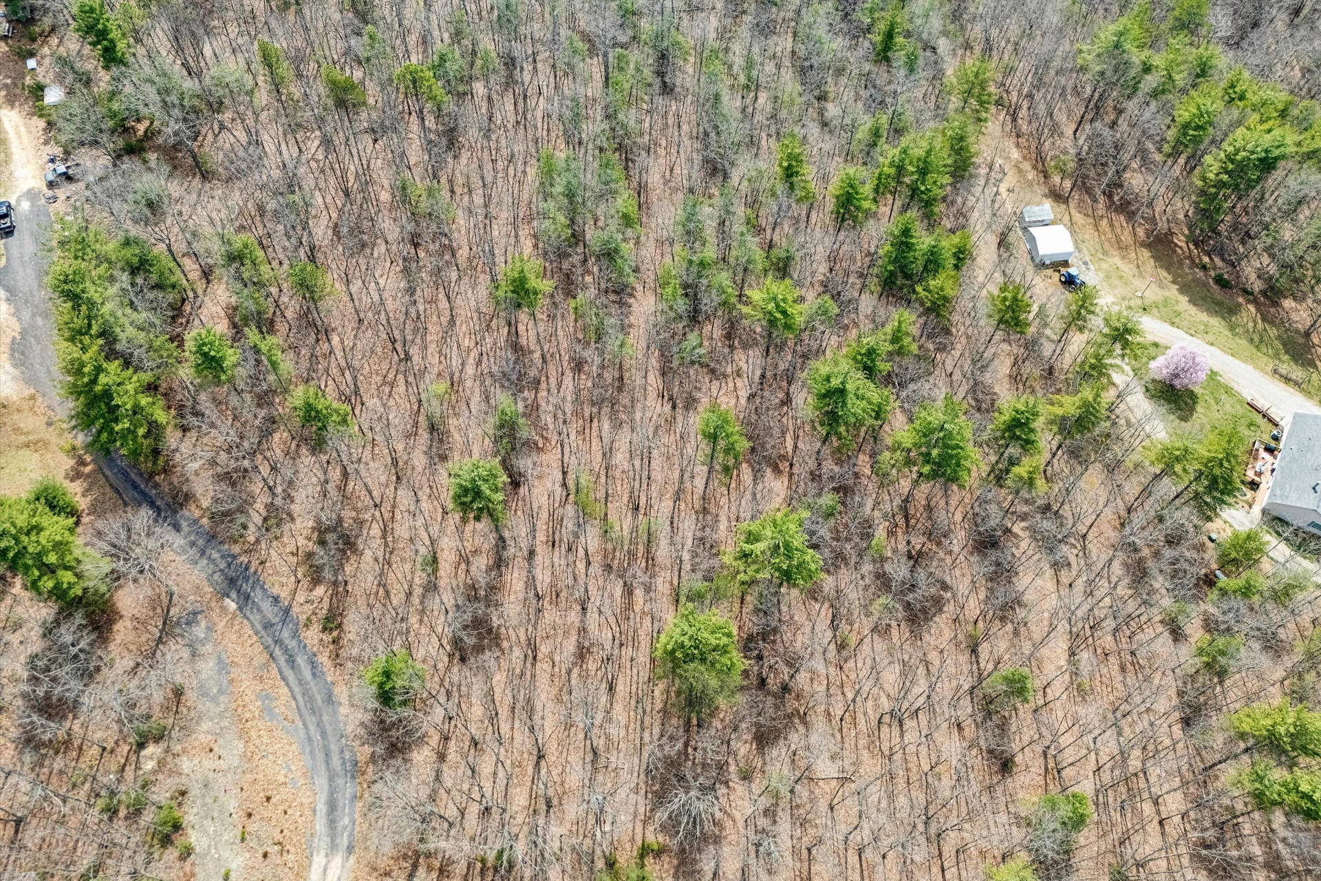0 Mountain Acres CIR - Photo 5