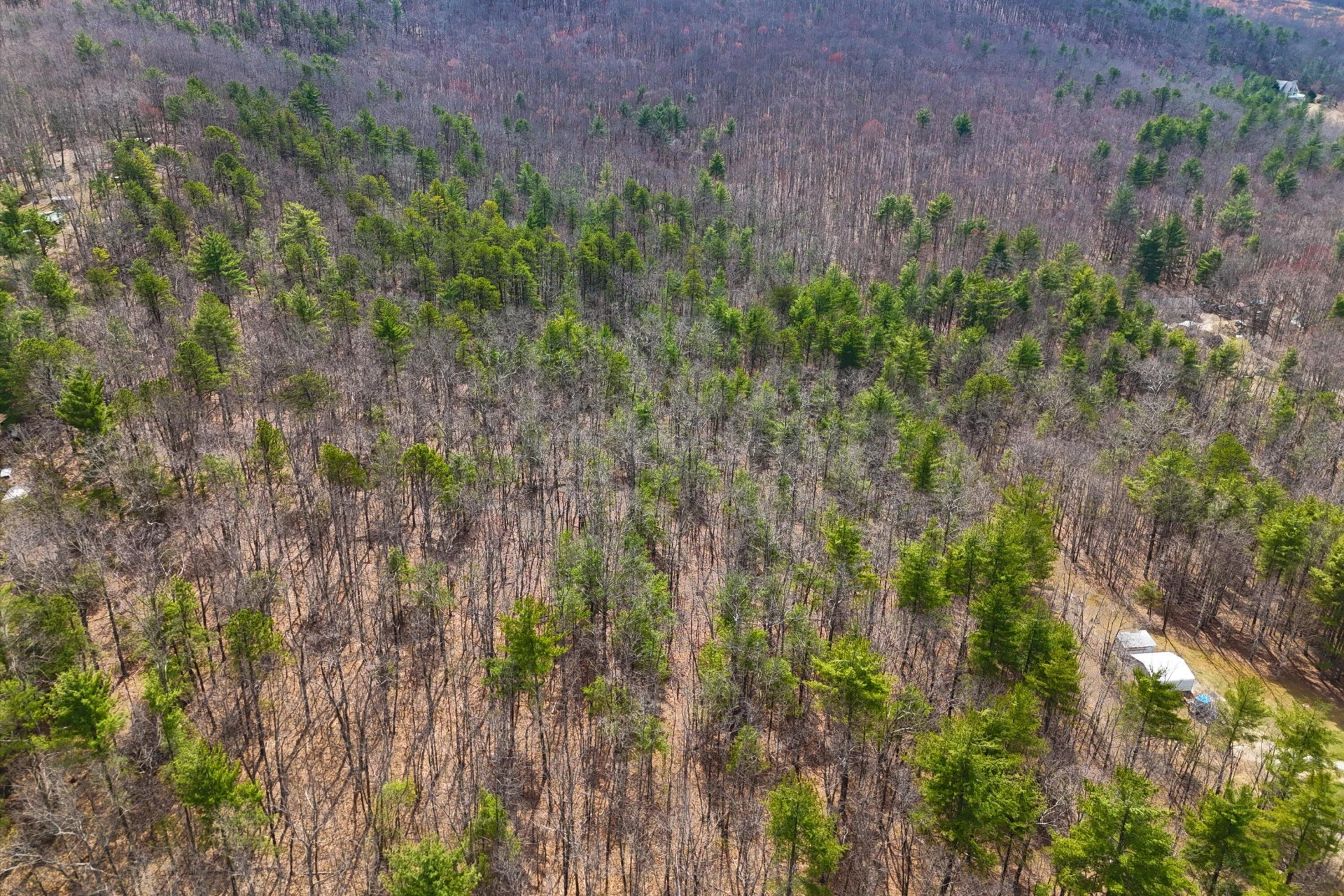 0 Mountain Acres CIR - Photo 6