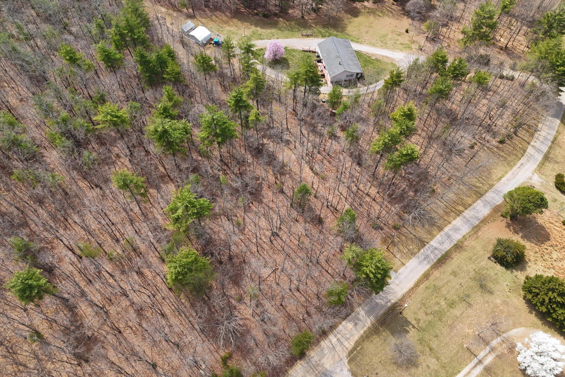 0 Mountain Acres CIR - Photo 9