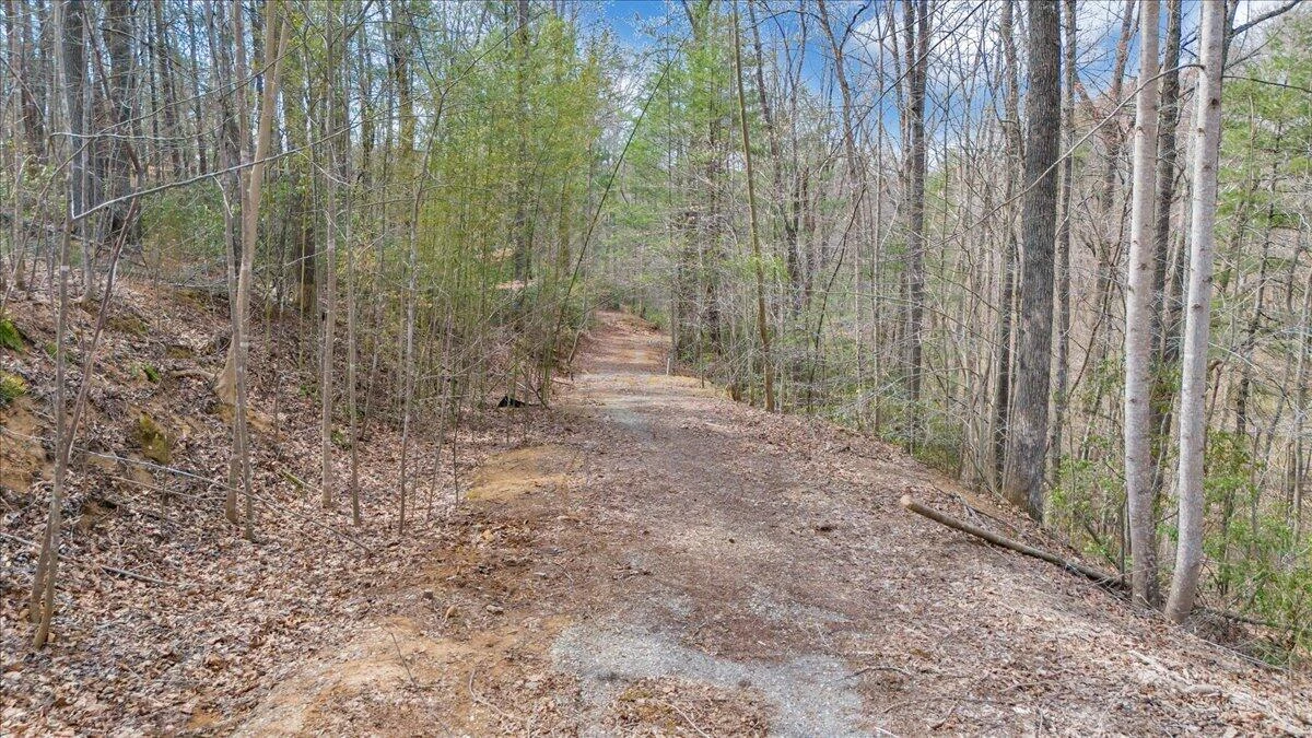 1689 Carroll RD - Photo 70