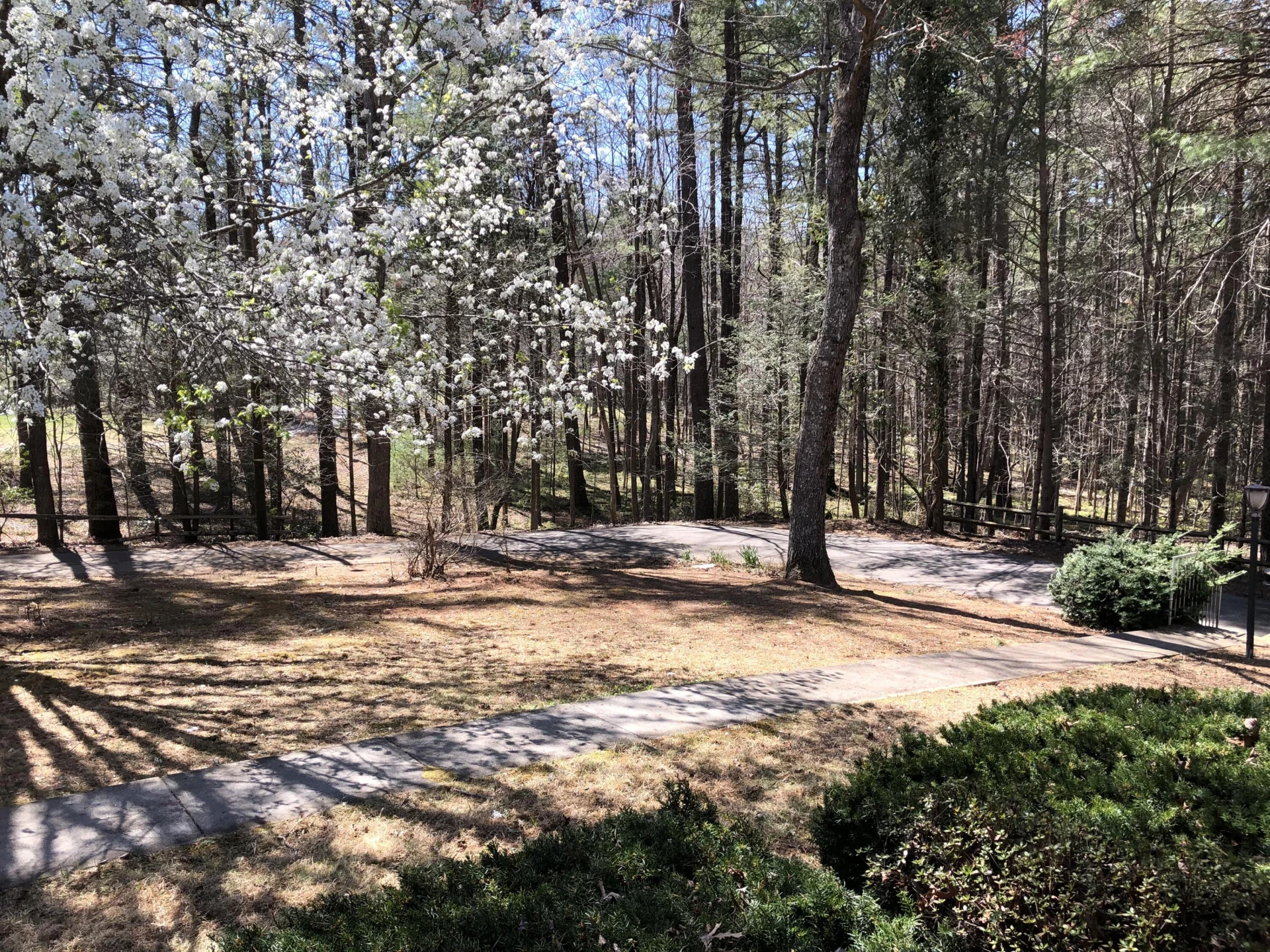 3105 Bethany RD - Photo 41