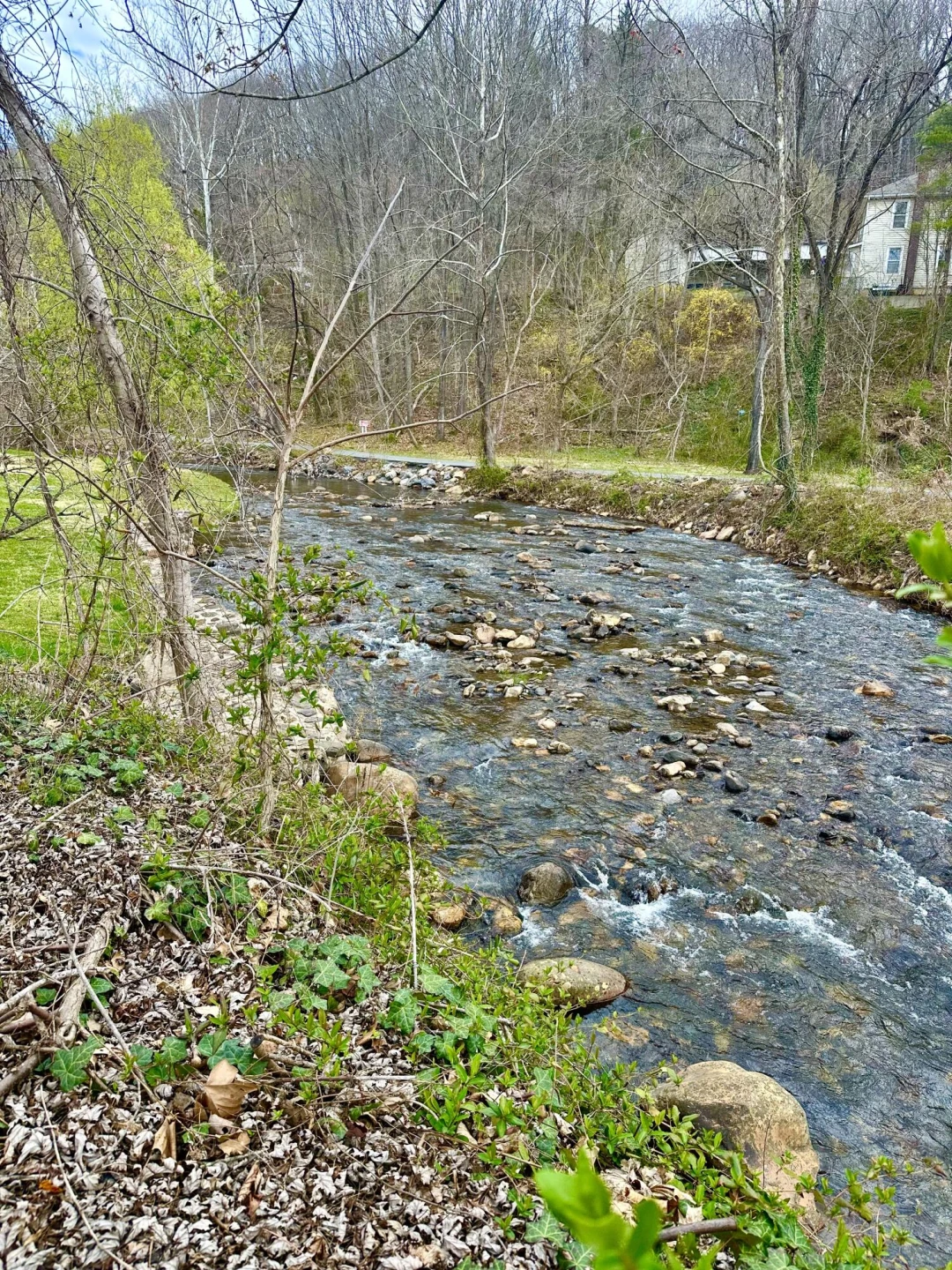 513 Court ST - Photo 33