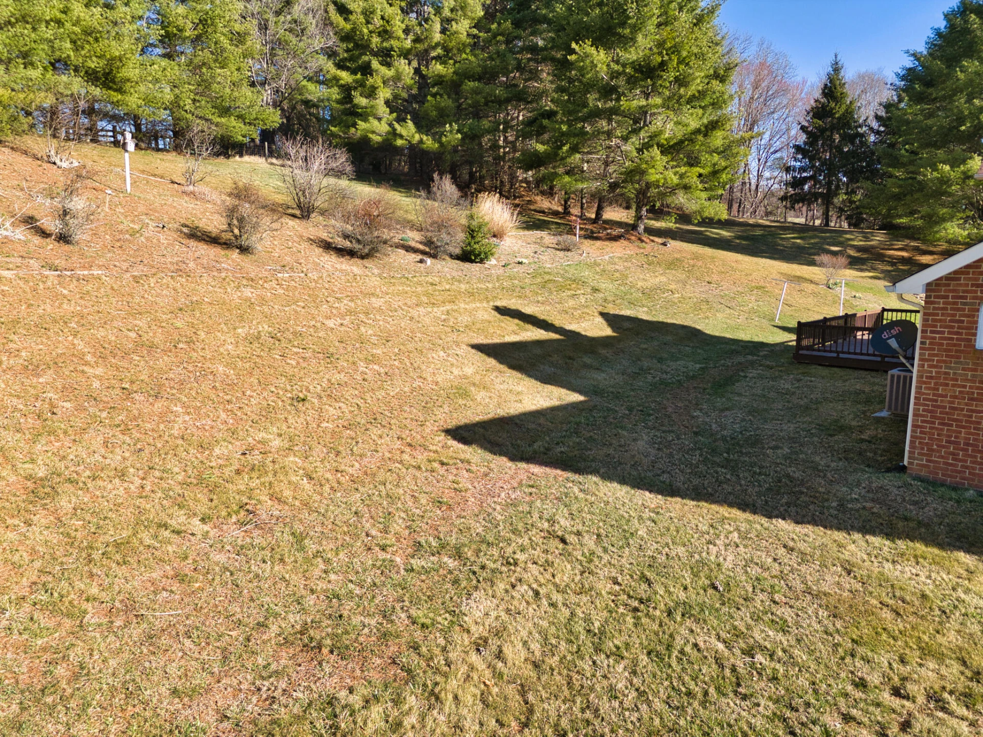 195 Showalter RD - Photo 81