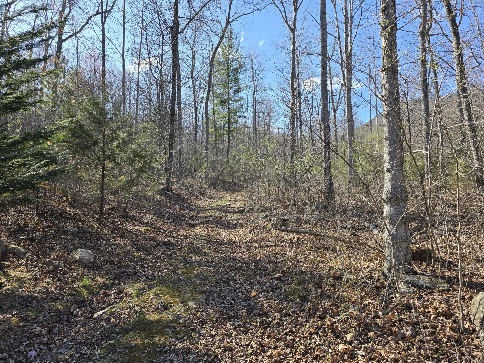 Lot 14 Wenlock DR - Photo 10