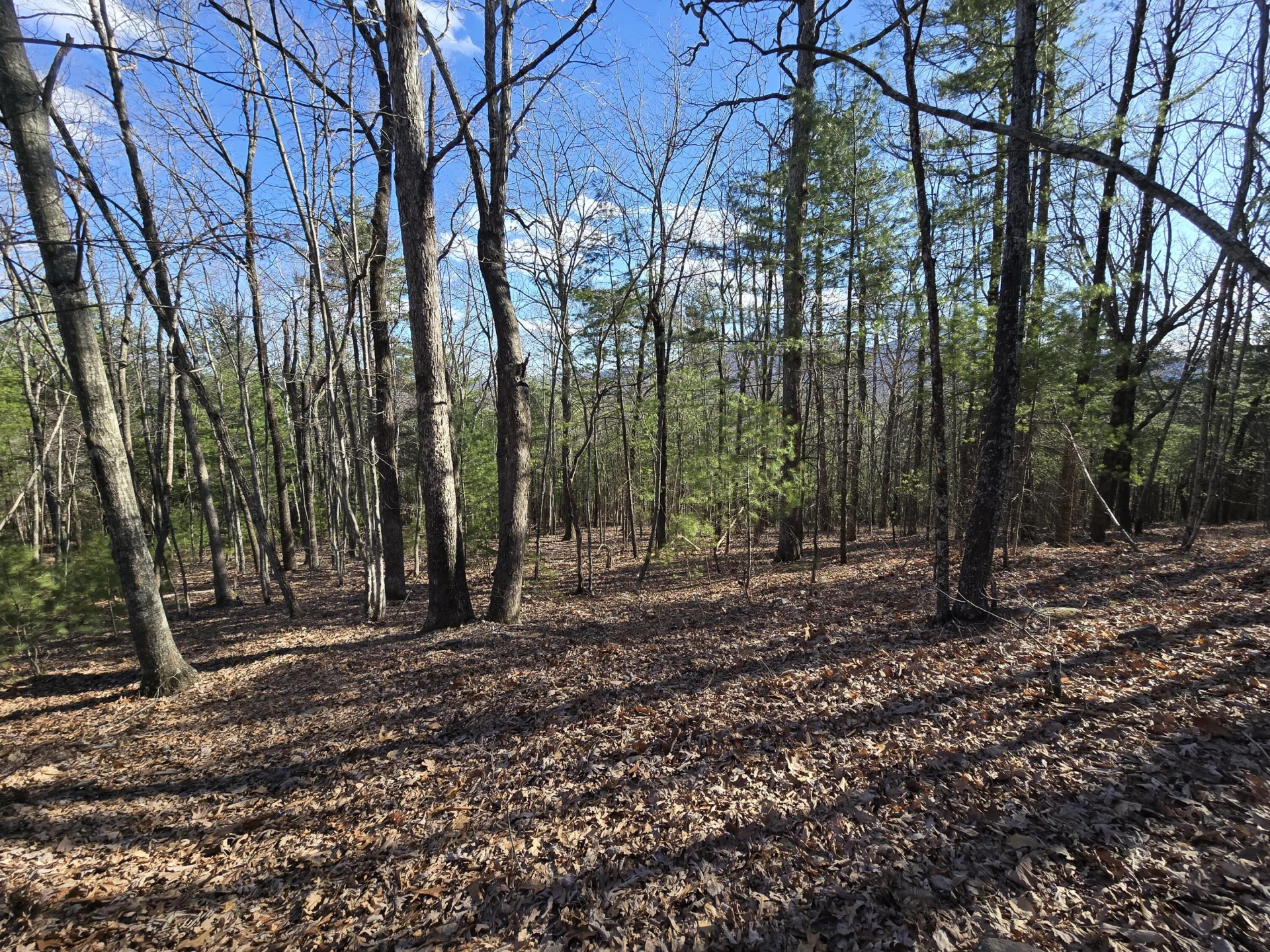 Lot 14 Wenlock DR - Photo 12