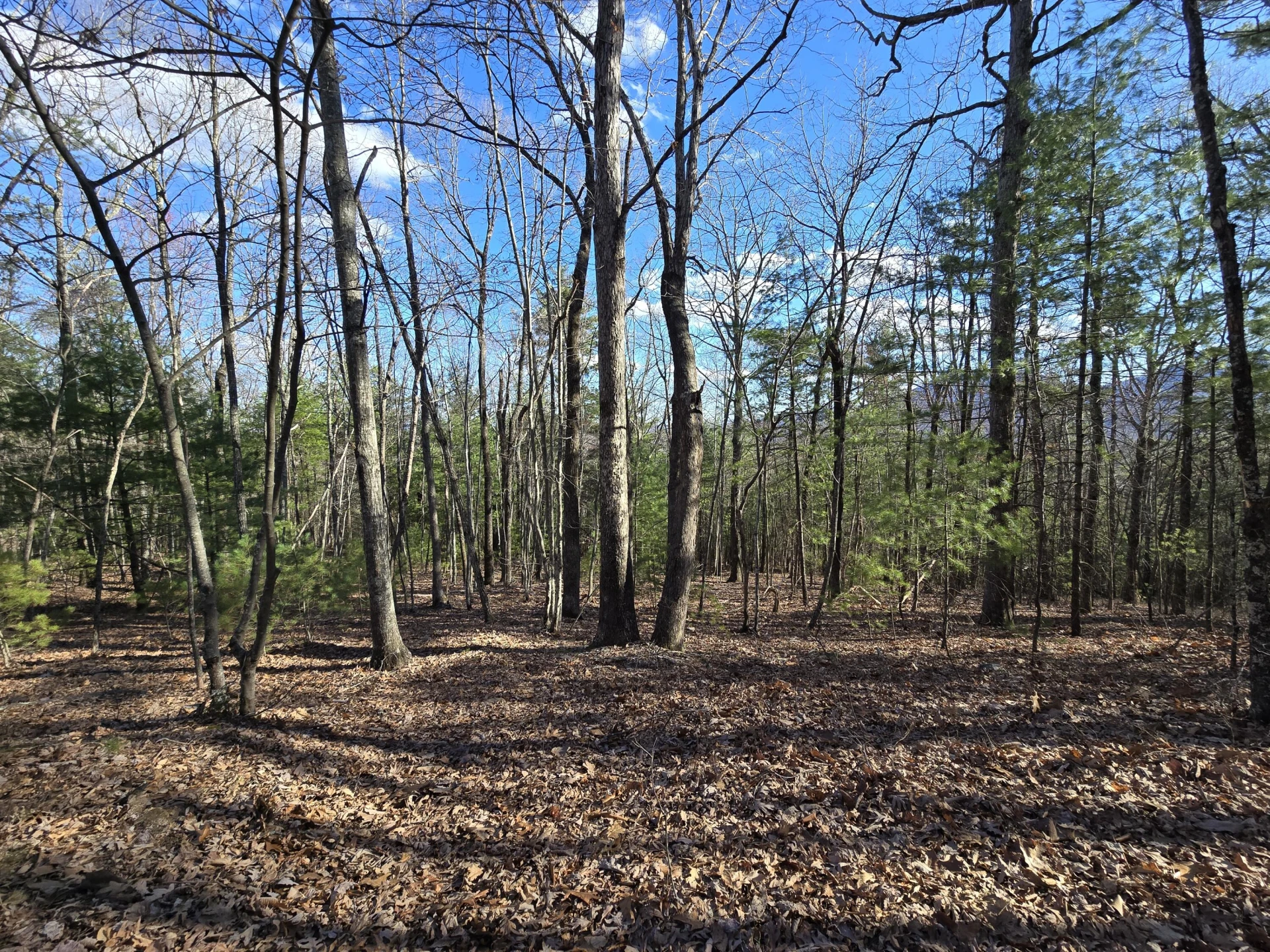 Lot 14 Wenlock DR - Photo 13