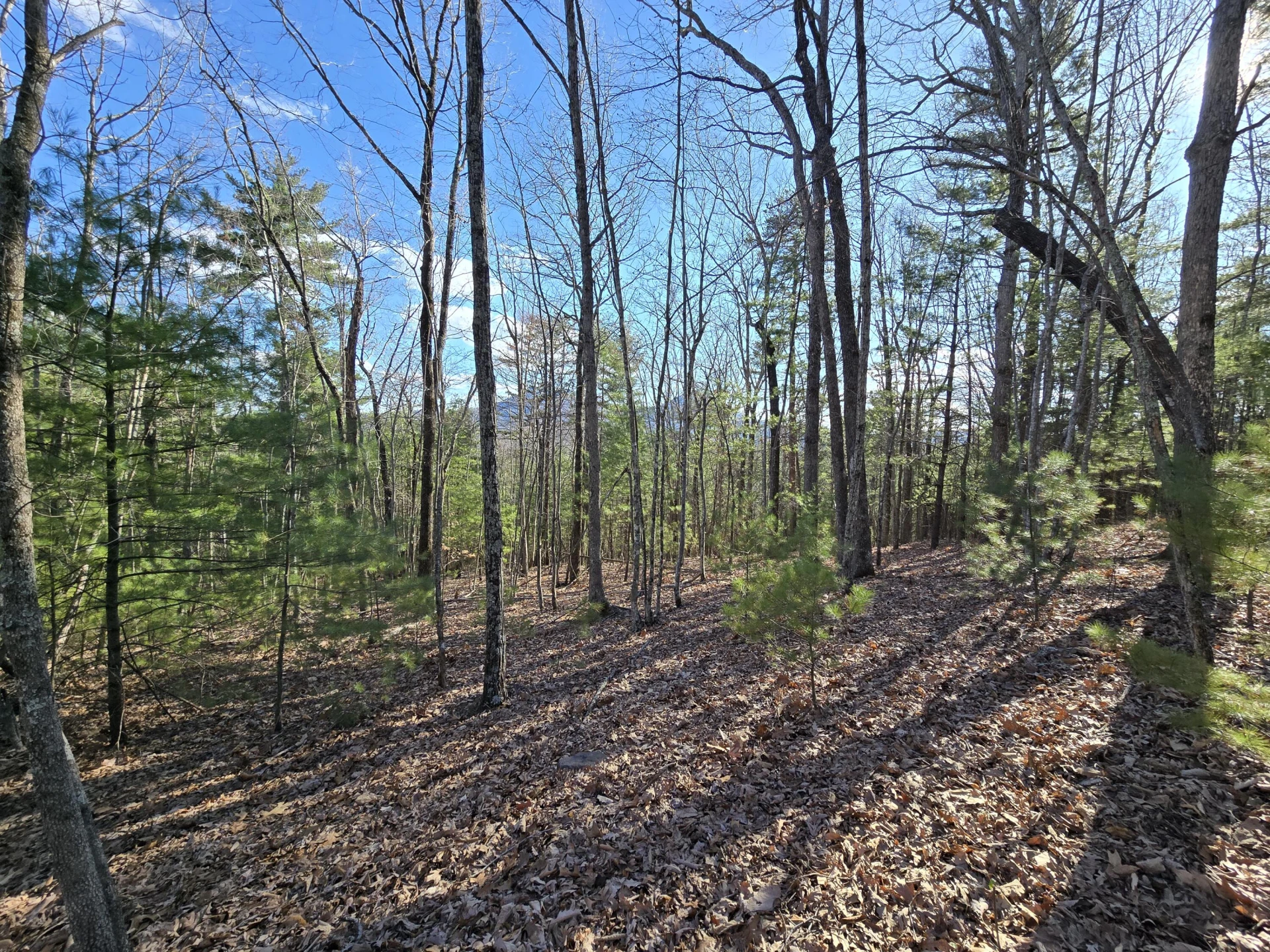 Lot 14 Wenlock DR - Photo 14