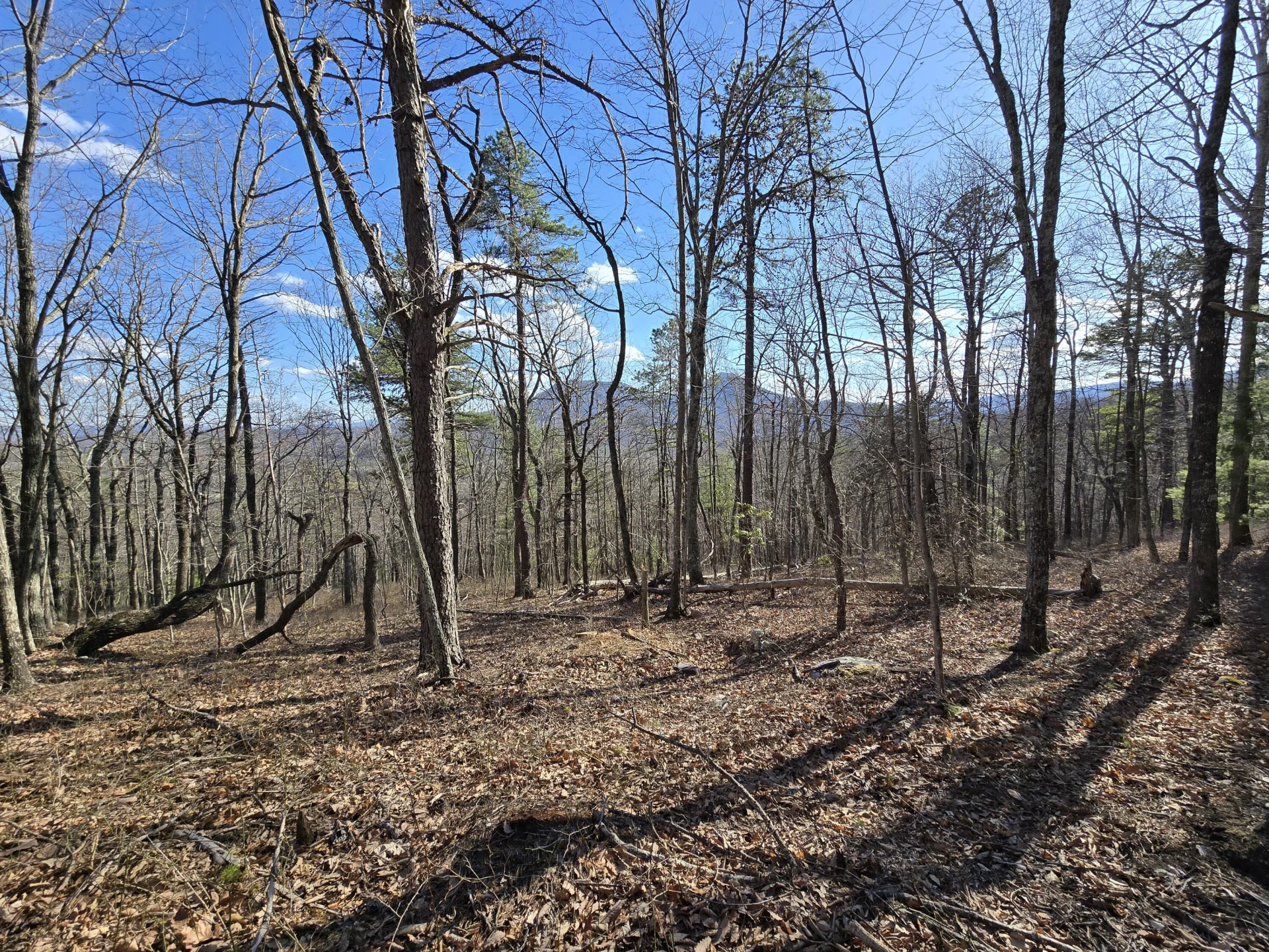 Lot 14 Wenlock DR - Photo 2