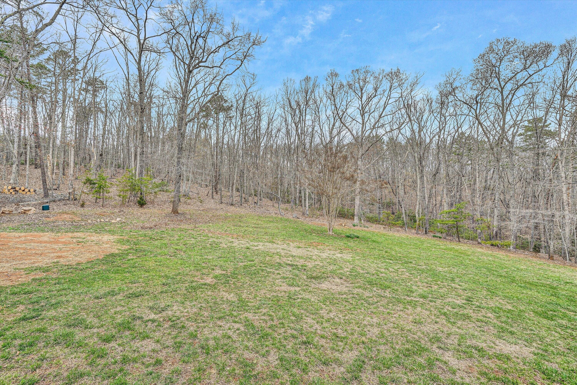 1536 Mount Airy RD - Photo 54