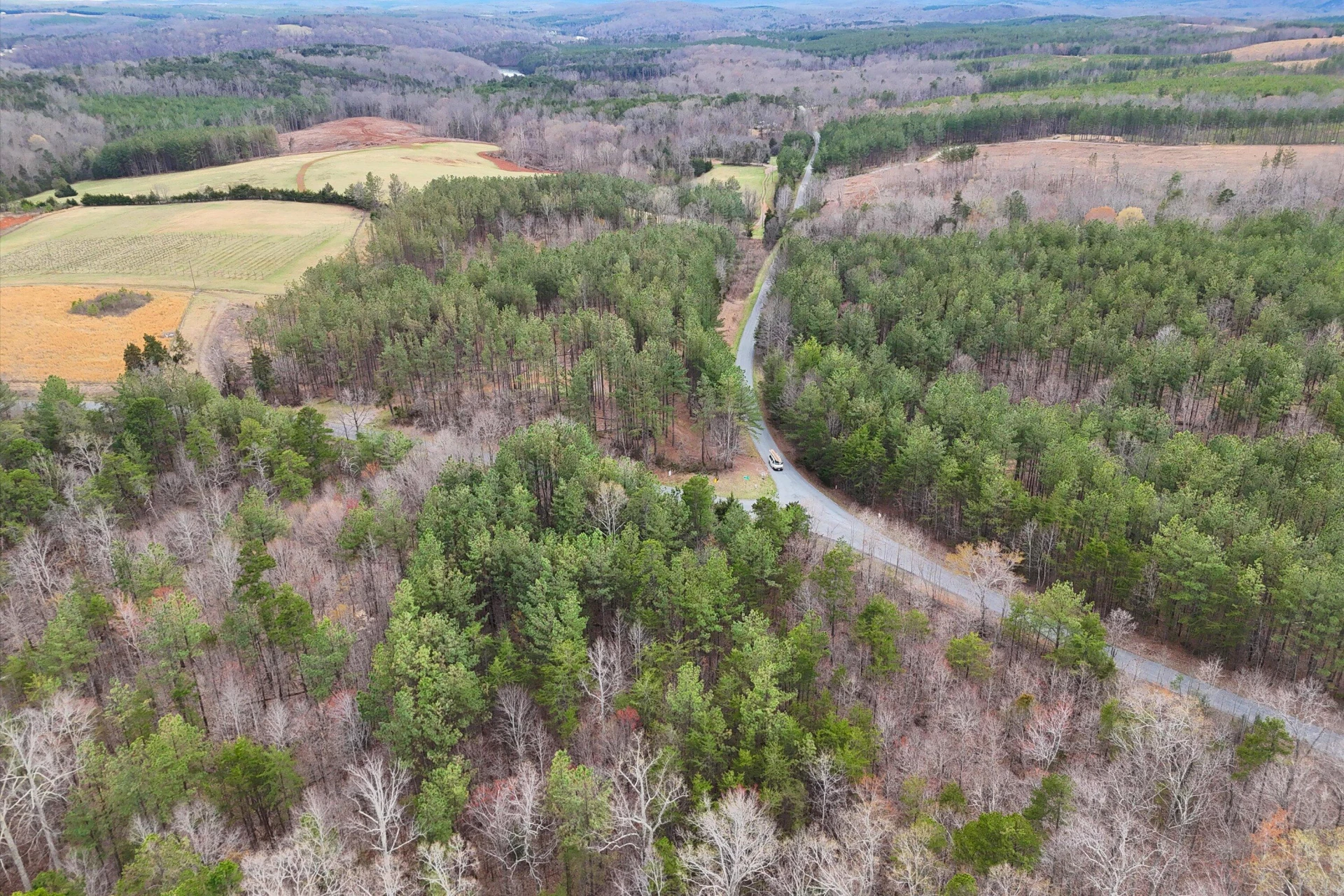 1536 Mount Airy RD - Photo 63