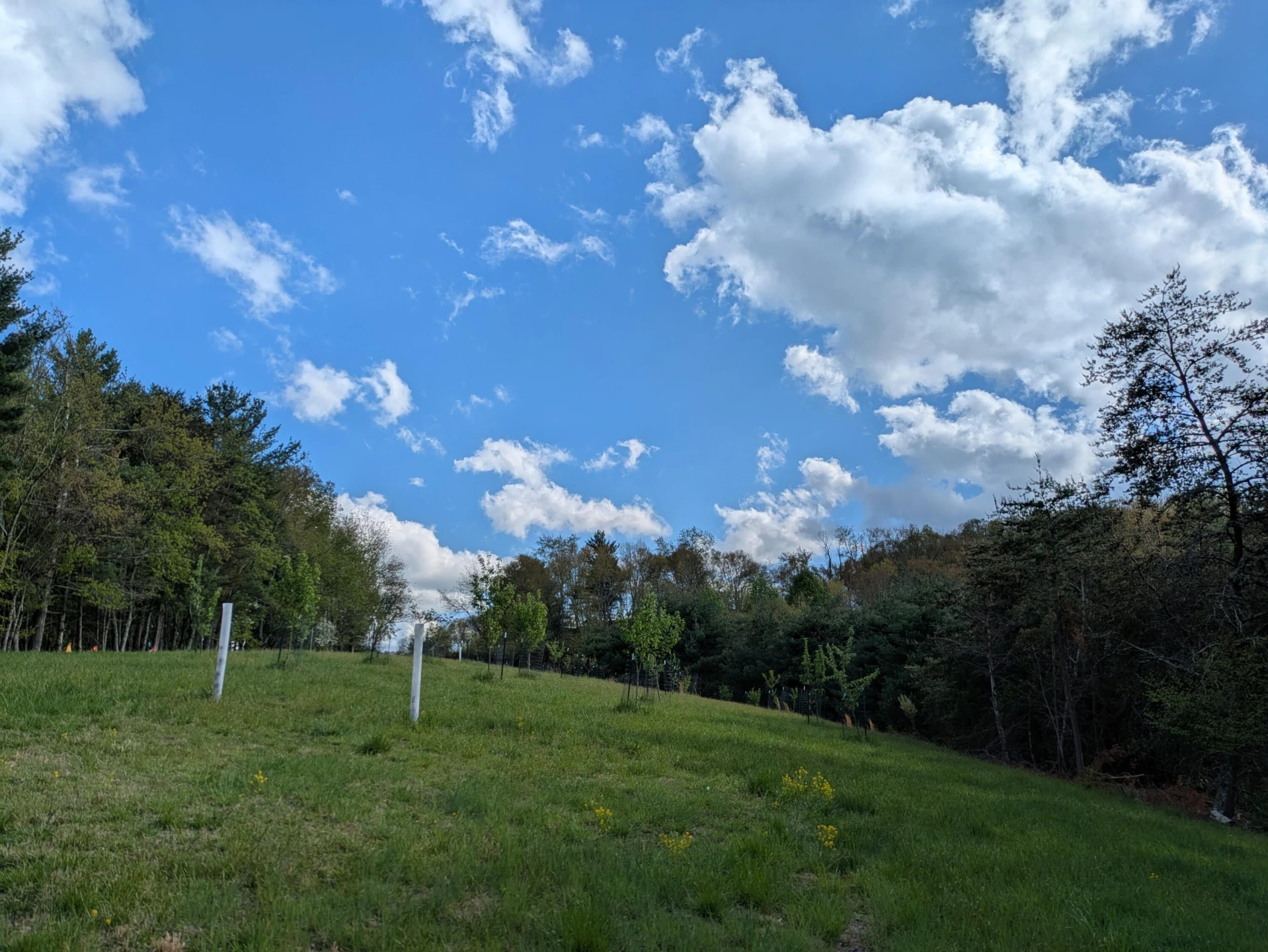 475 Loss Bent RD - Photo 55