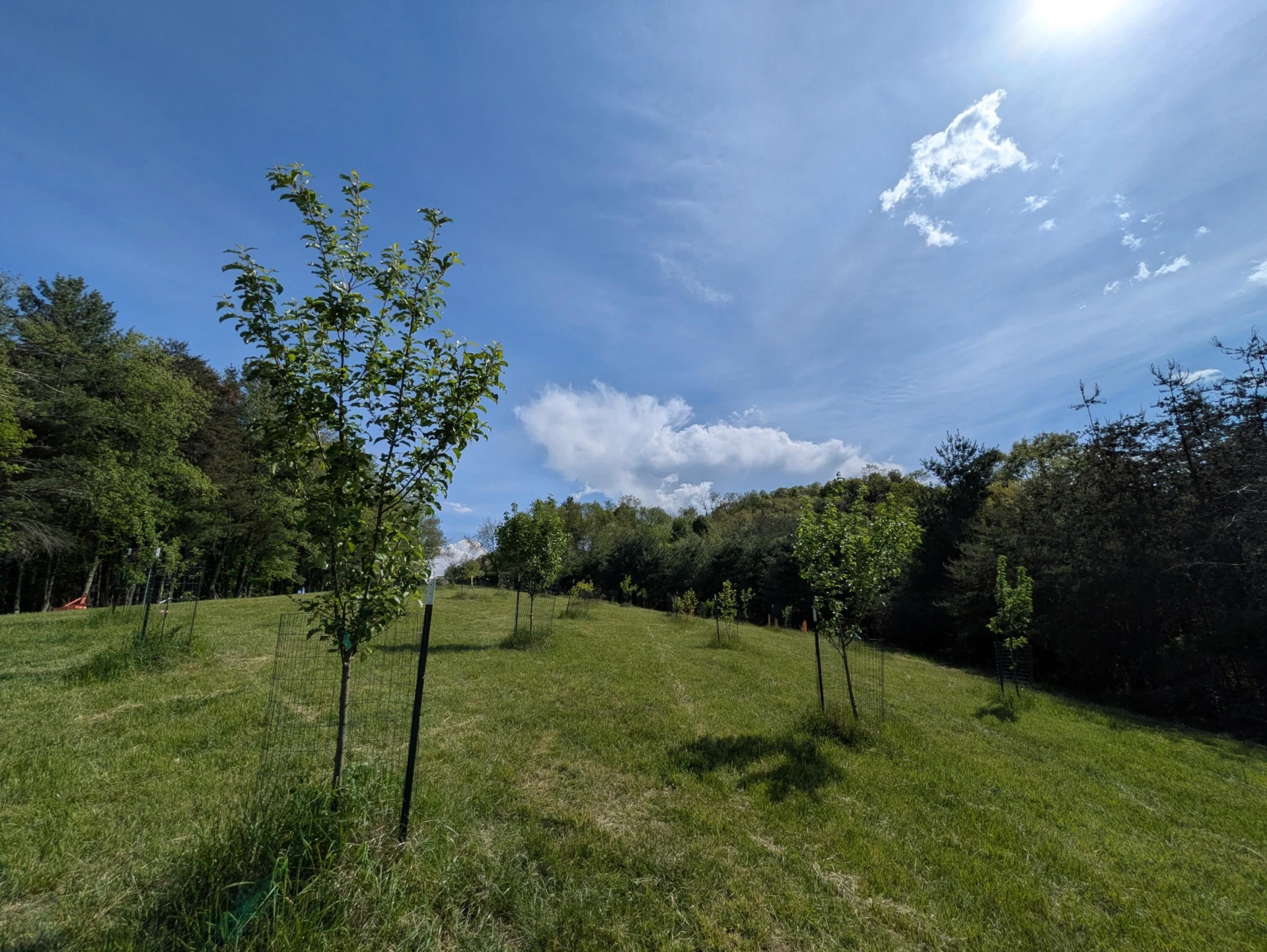 475 Loss Bent RD - Photo 60
