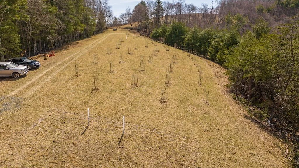 475 Loss Bent RD - Photo 62