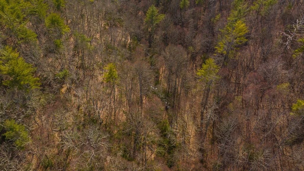 475 Loss Bent RD - Photo 66