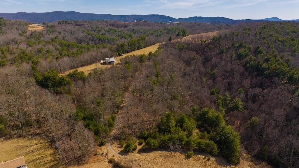 475 Loss Bent RD - Photo 67