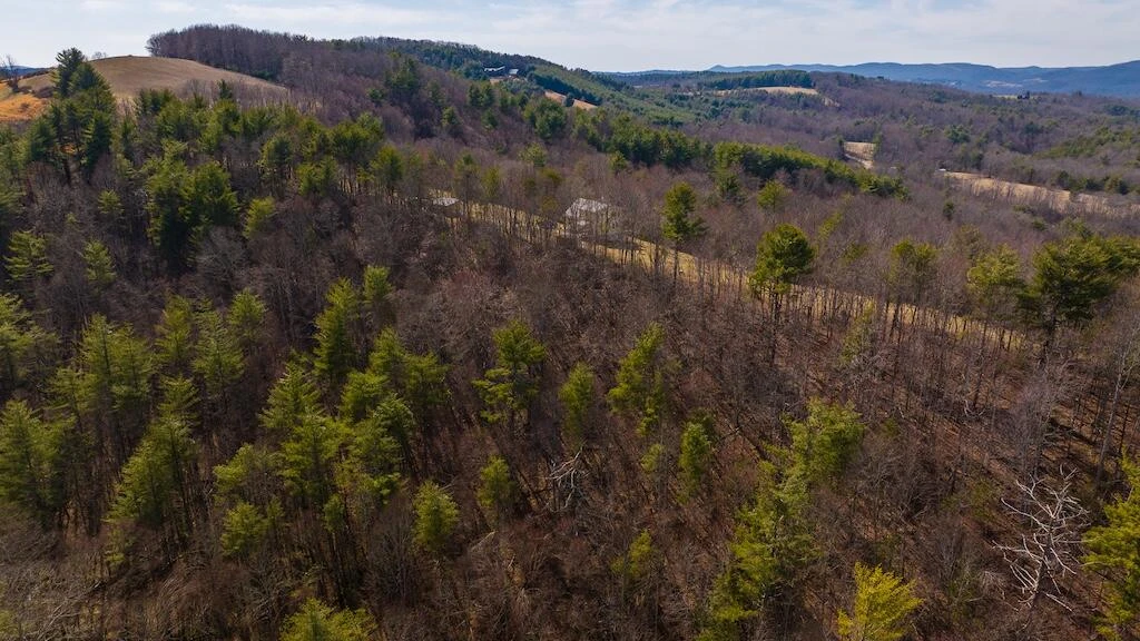 475 Loss Bent RD - Photo 69