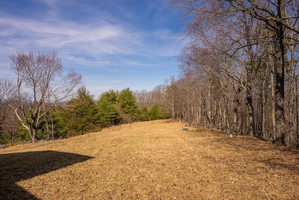 475 Loss Bent RD - Photo 70