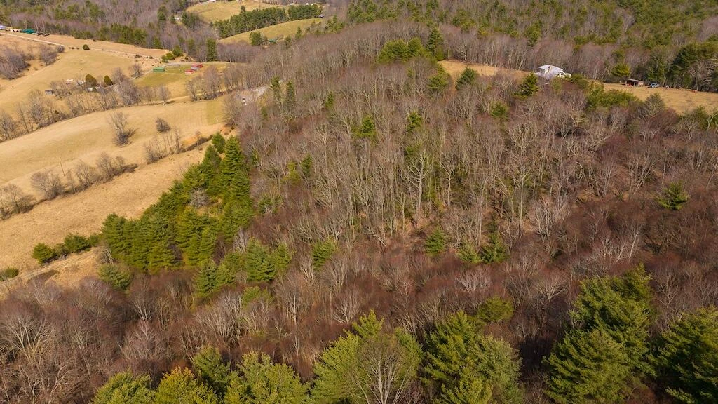 475 Loss Bent RD - Photo 74