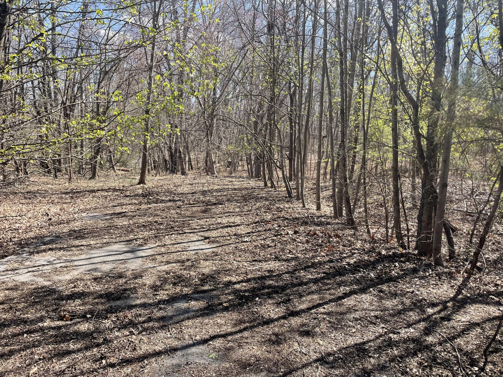 254 Mallard Point RD - Photo 2