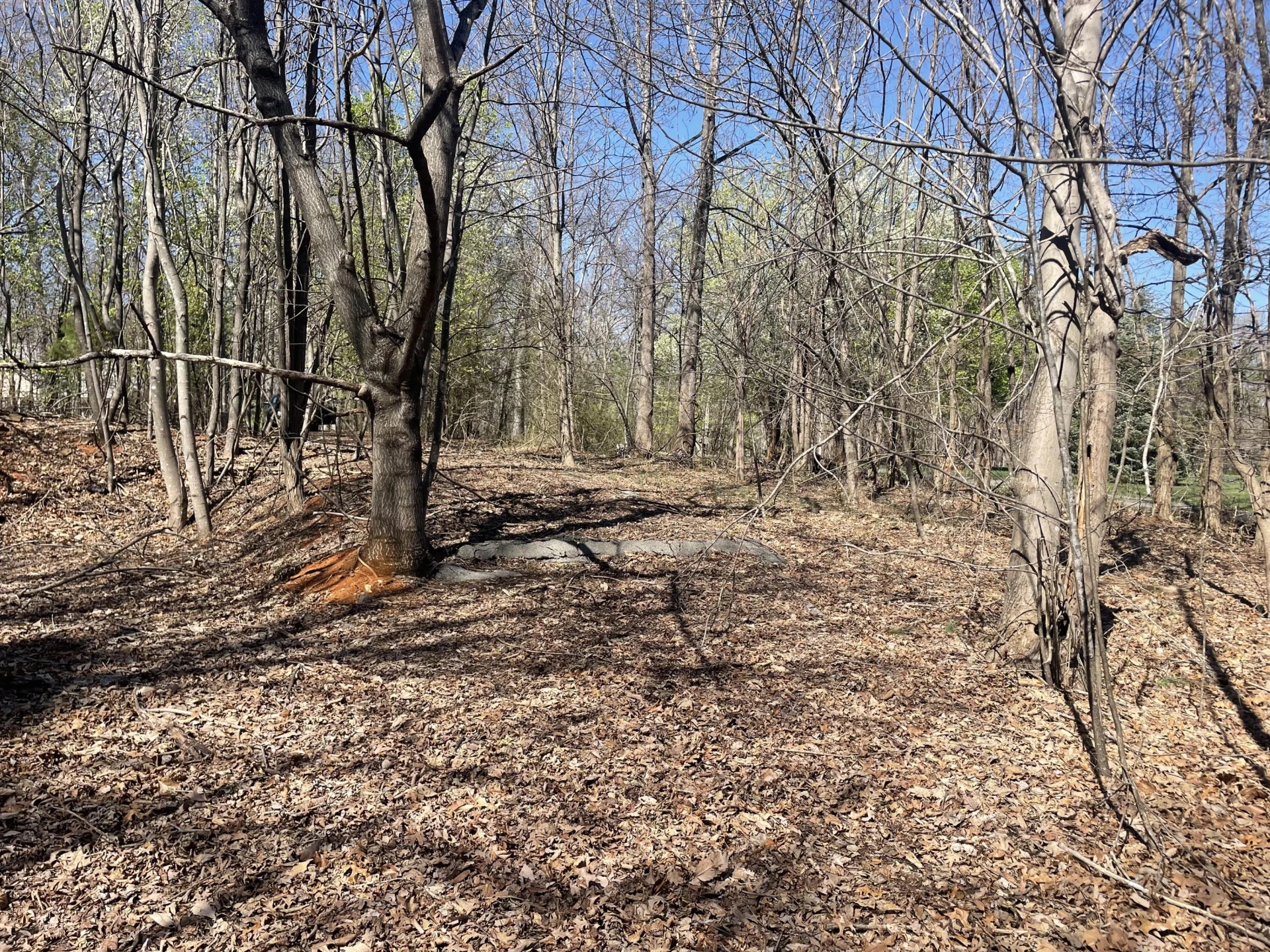 254 Mallard Point RD - Photo 3