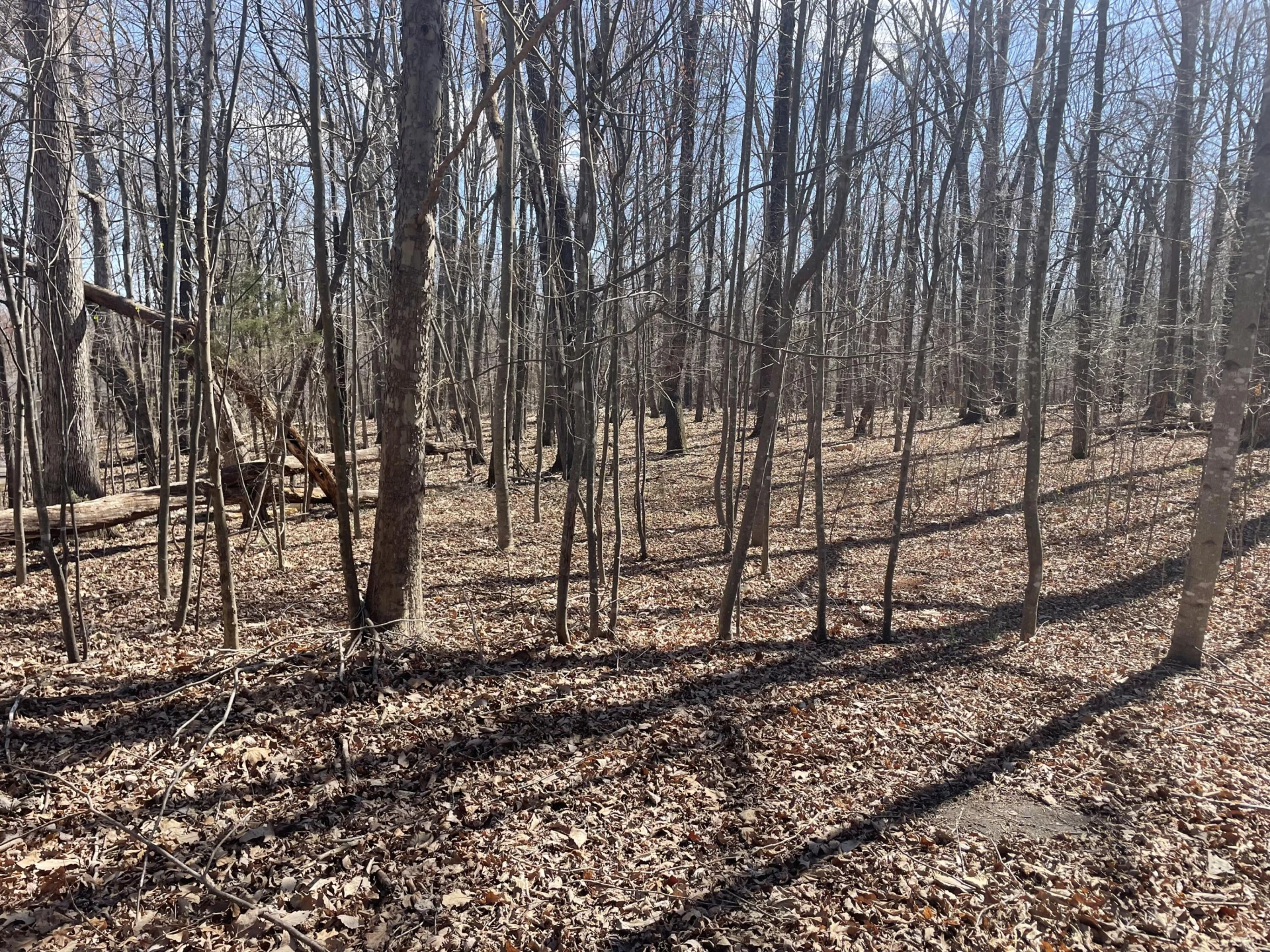 254 Mallard Point RD - Photo 5