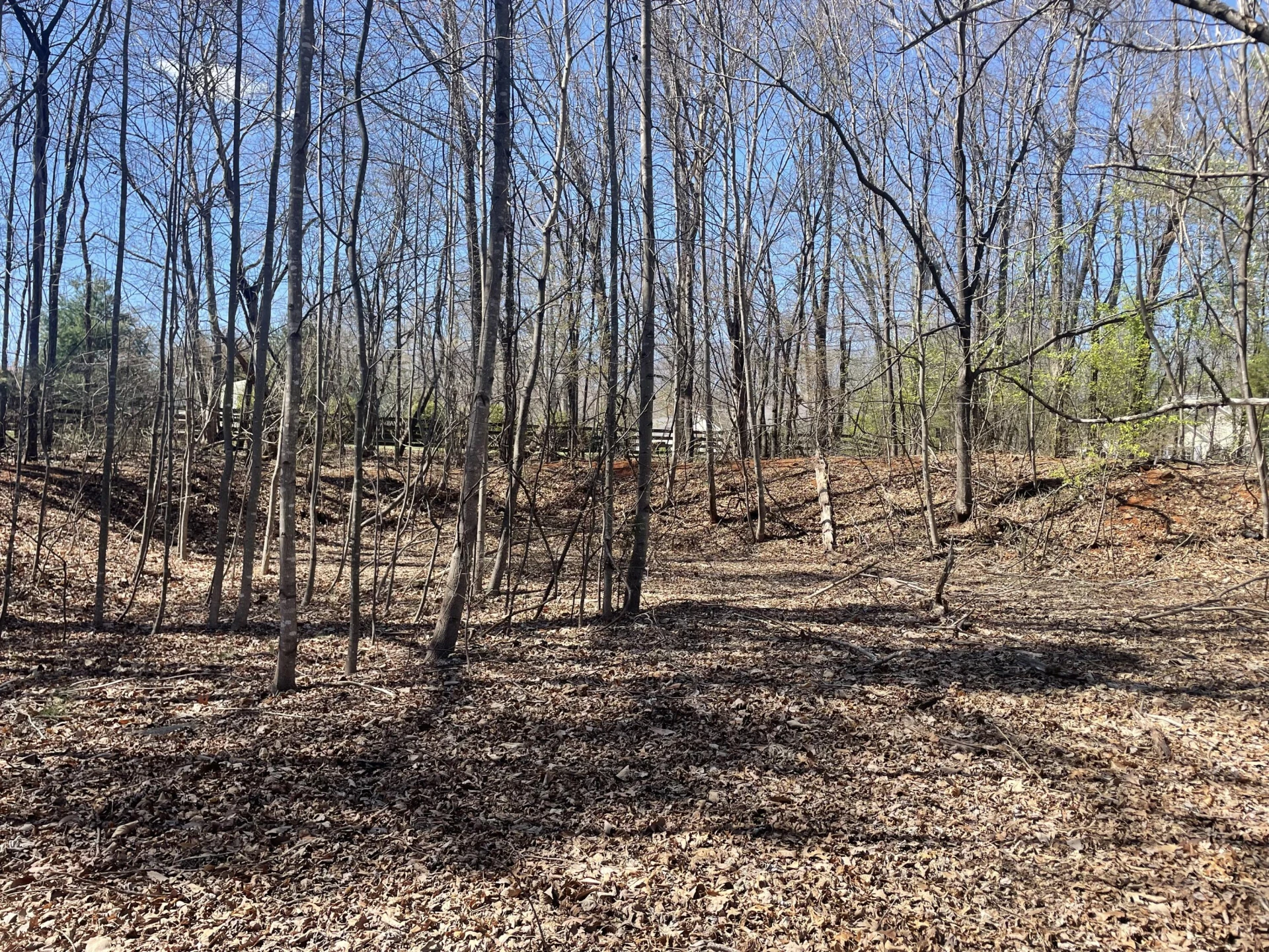 254 Mallard Point RD - Photo 6