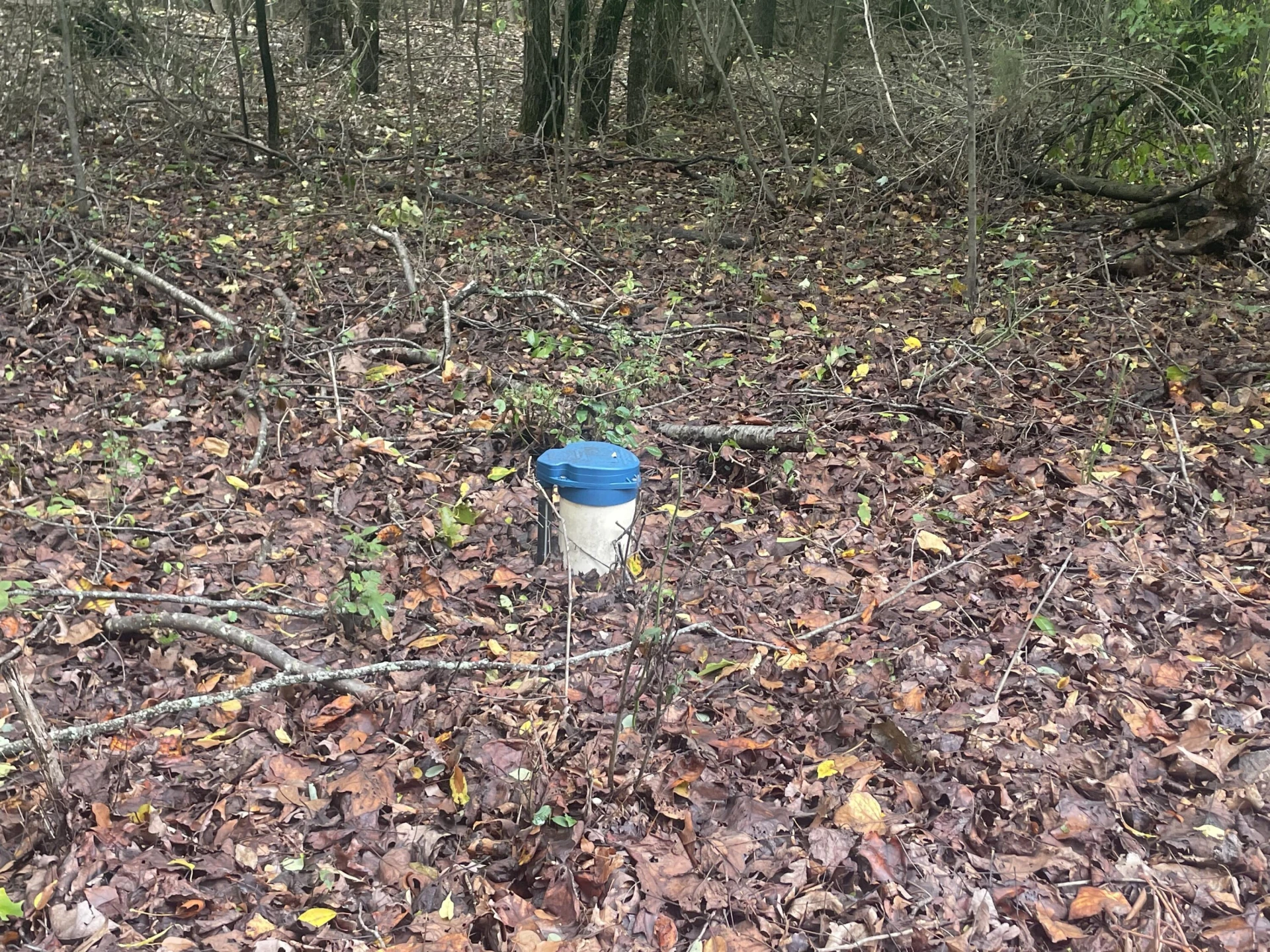 254 Mallard Point RD - Photo 8