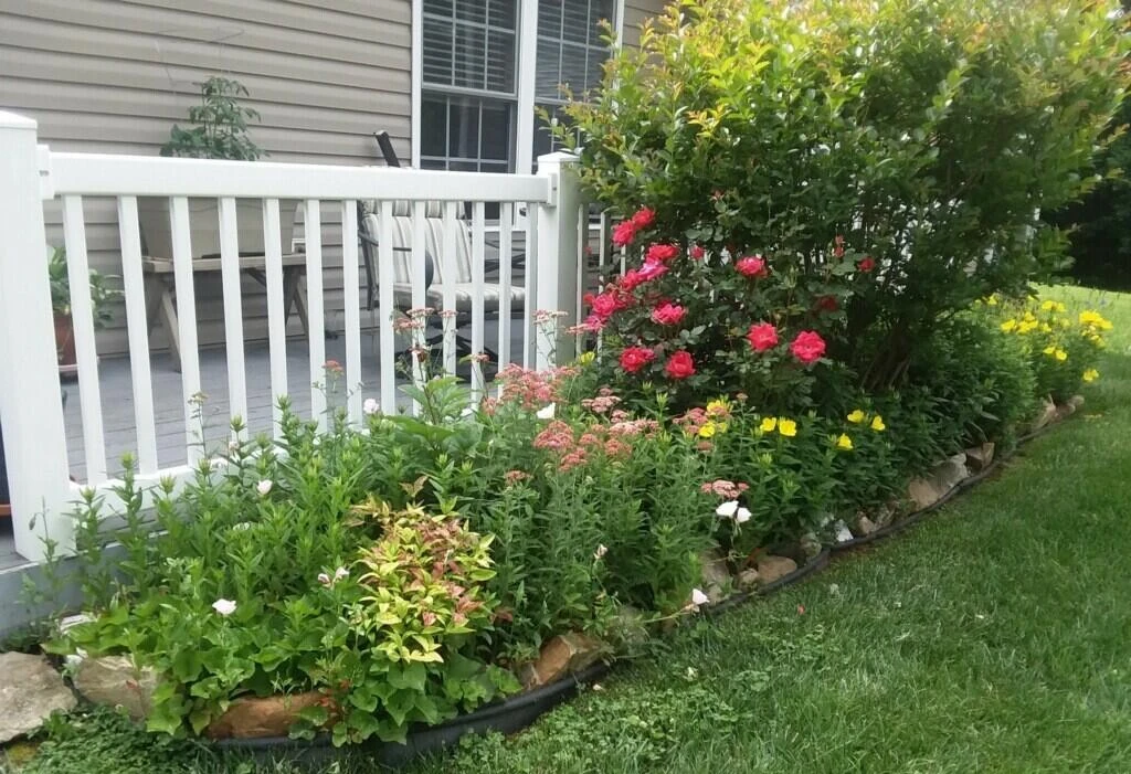 8531 Pineflat LN - Photo 30