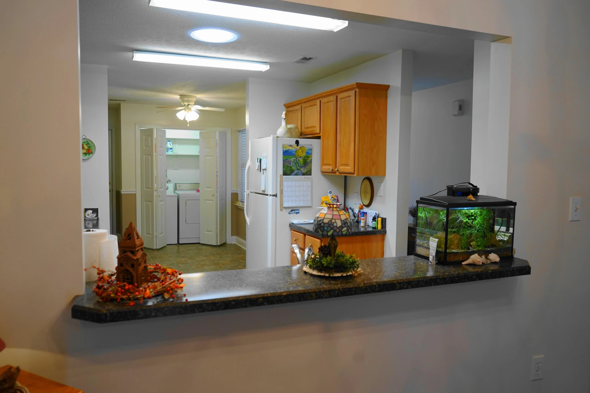 8531 Pineflat LN - Photo 8