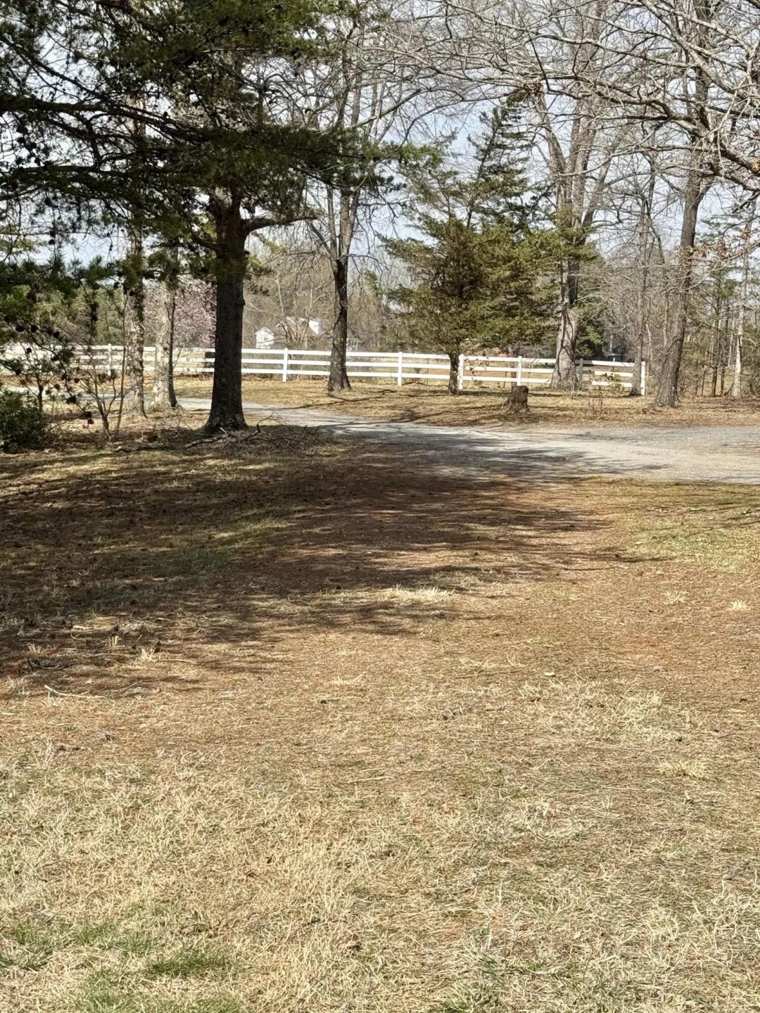 3998 Lambs Church RD - Photo 3