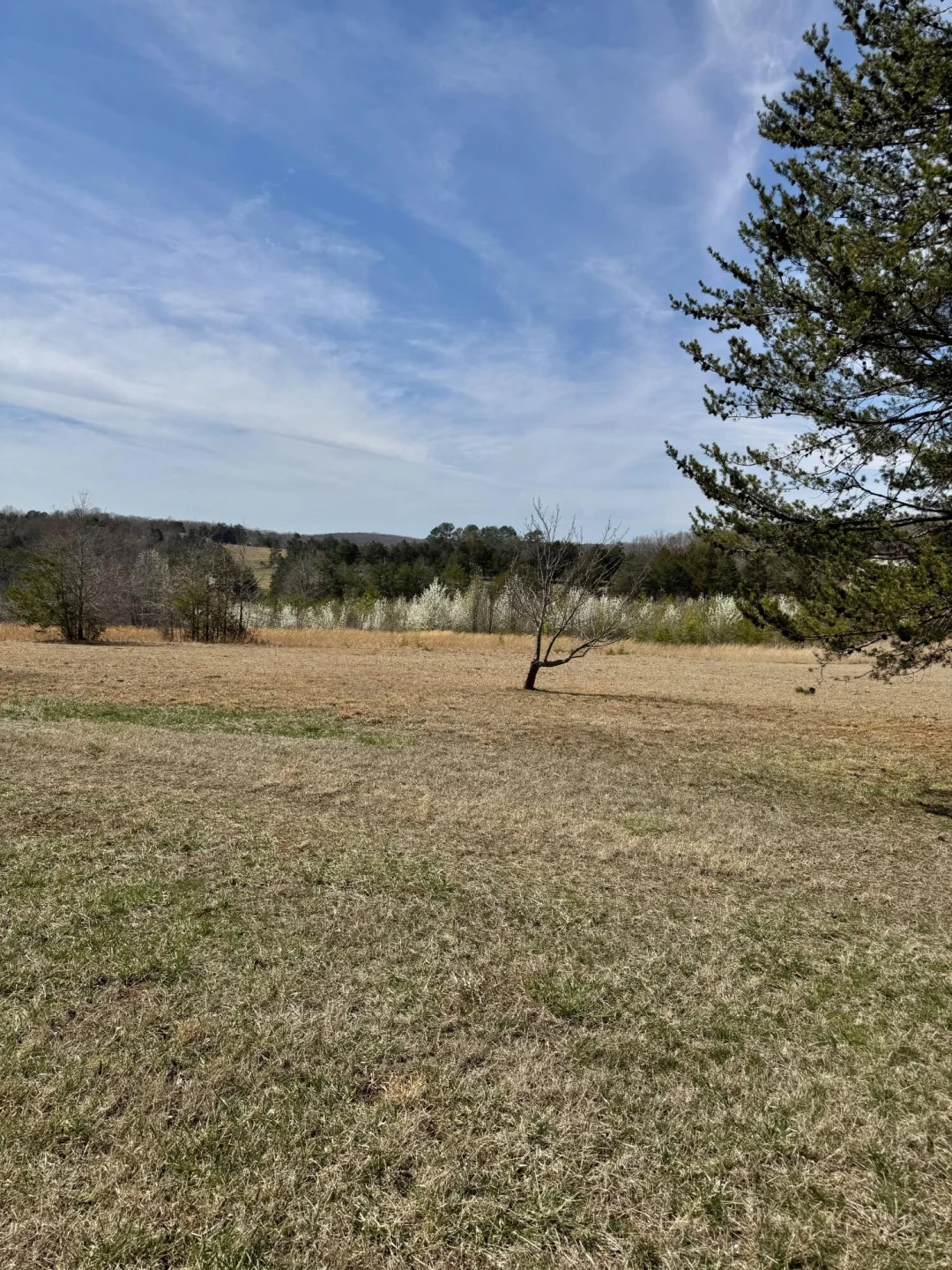 3998 Lambs Church RD - Photo 5