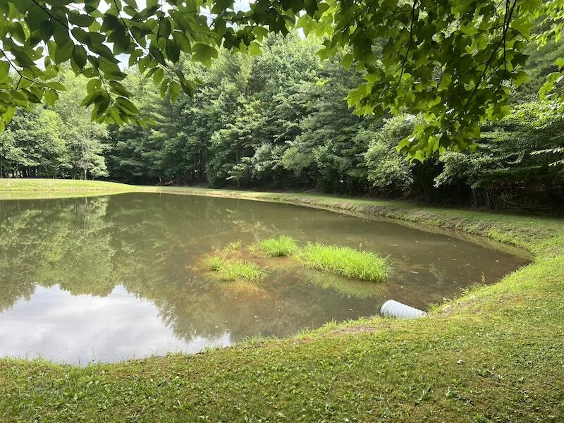 0 Music RD - Photo 10
