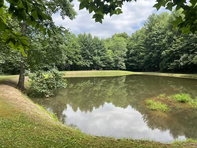 0 Music RD - Photo 11