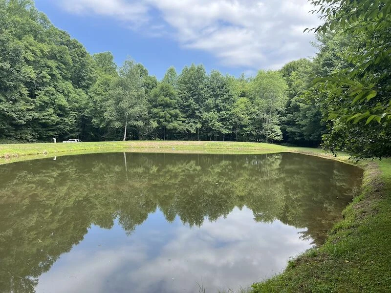 0 Music RD - Photo 13