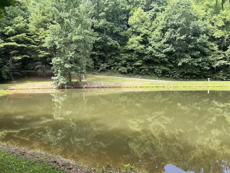 0 Music RD - Photo 14